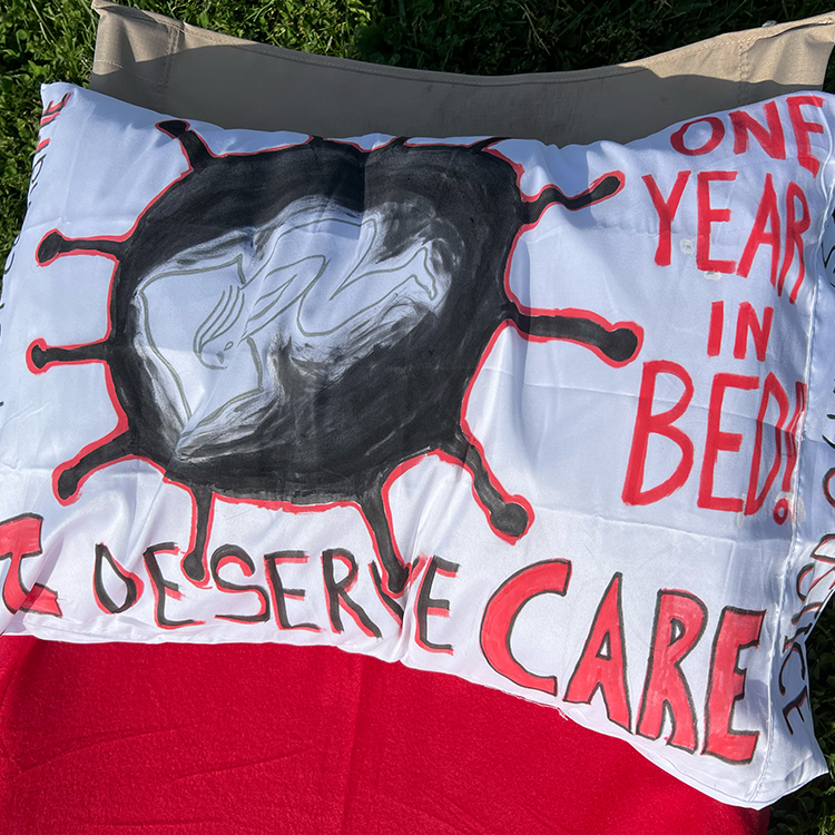 Pillowcase with an illustration depicting a person curled up in bed within a black coronavirus spike protein. Text reads "One year in bed! I deserve care."